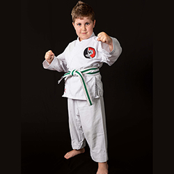 karateacademysydney-mini-classes